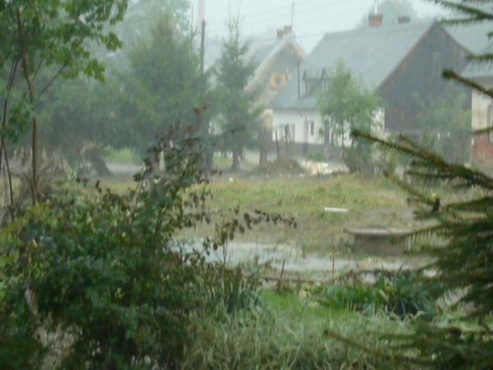 bily_kostel_2010_145